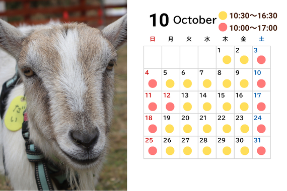 2026年10月11月営業カレンダー