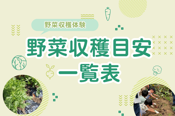 【野菜収穫体験】収穫時期目安はコチラ♪