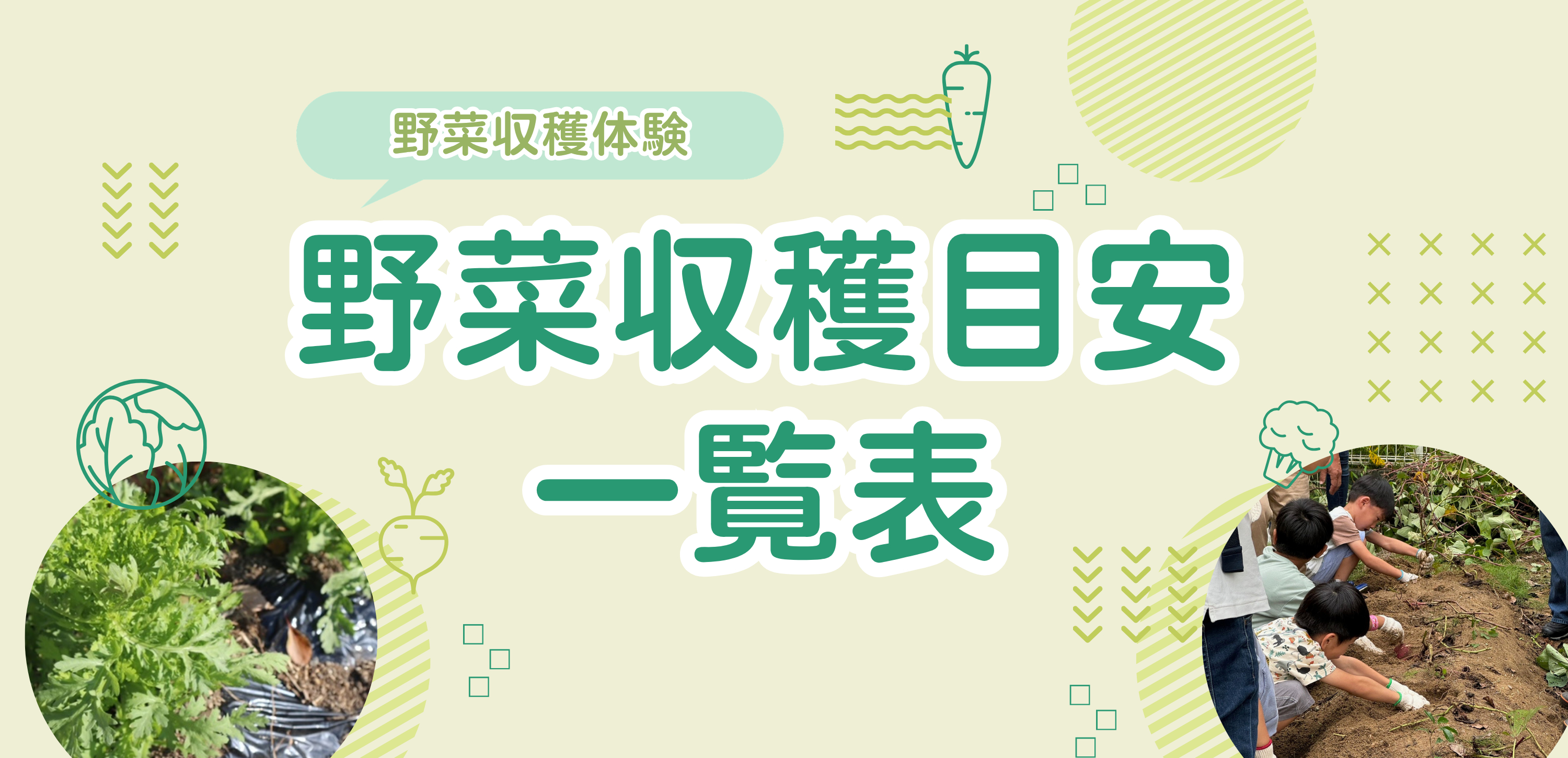 収穫時期