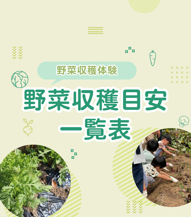 収穫時期